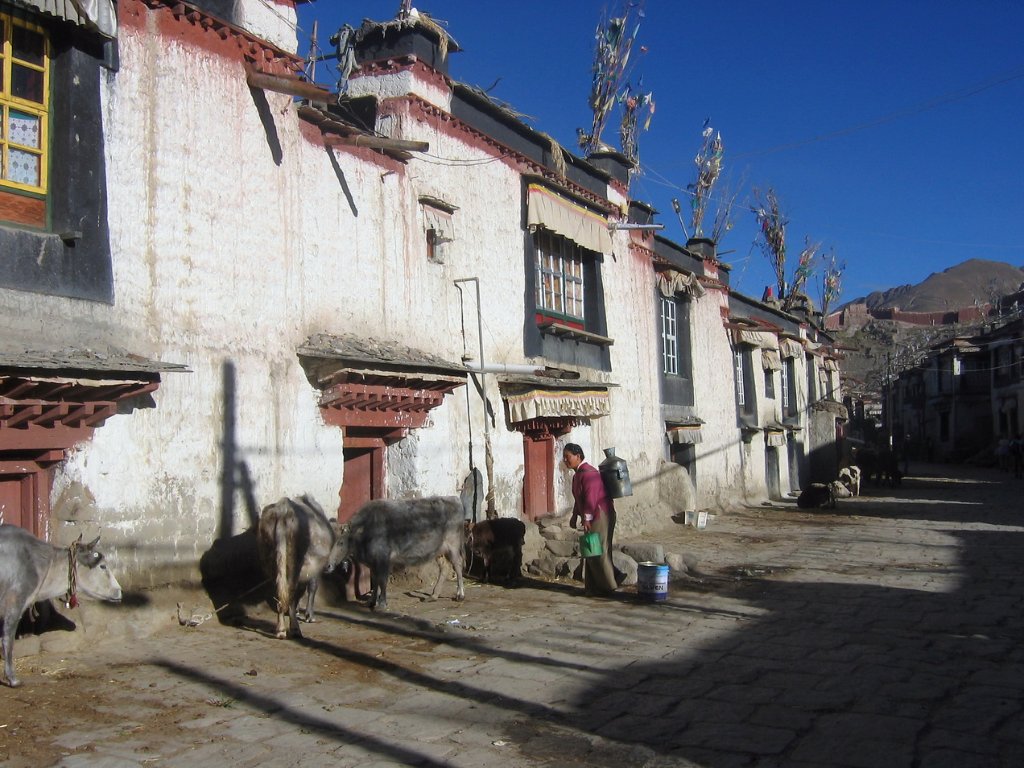 12-Street in Gyangze.jpg - Street in Gyangze